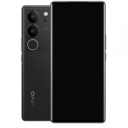 Смартфон Vivo V29 12 ГБ/256 ГБ Noble Black (Чёрный)