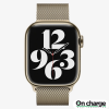 Ремешок Apple Milanese Loop для Apple Watch 41 мм (ML733ZM/A), Gold